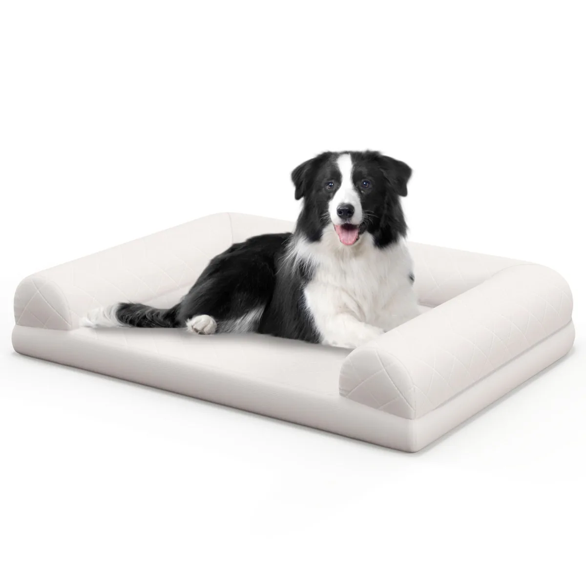 Beige bolster dog bed on a white background with a border collie resting on it