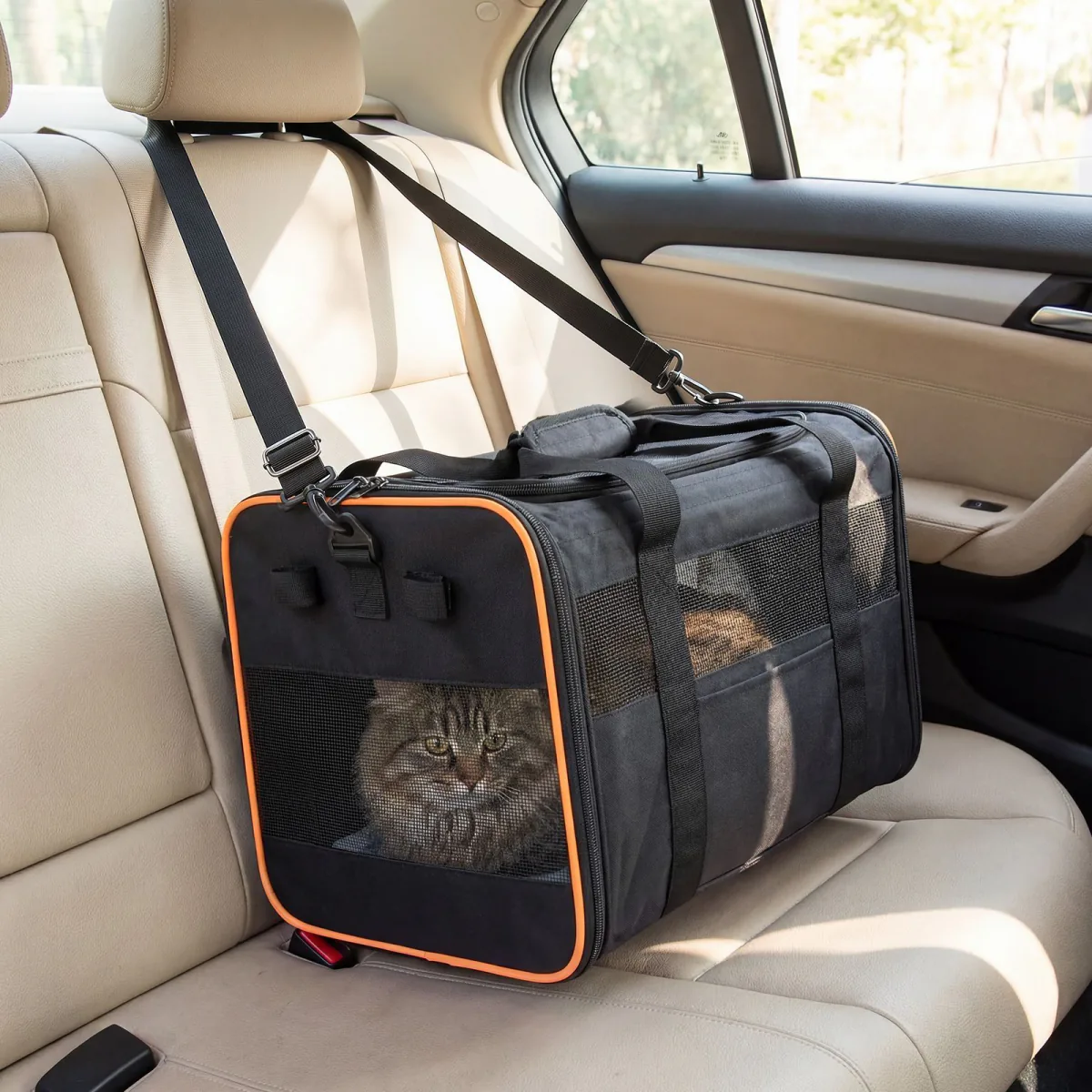 Long-haired cat inside the carrier on a car's back seat