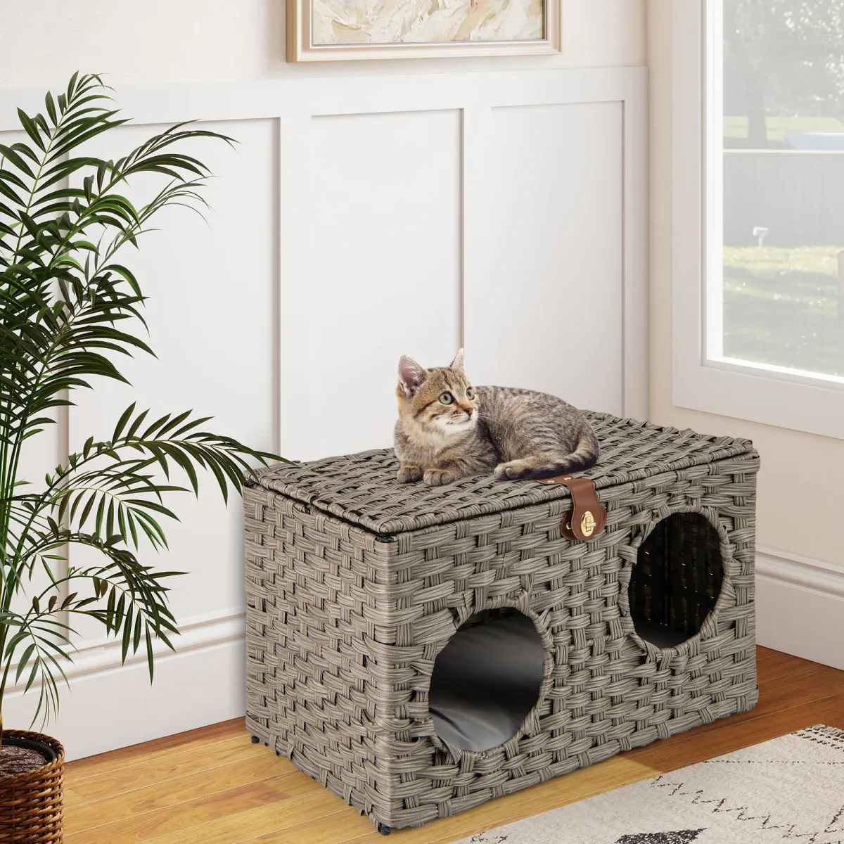 Grey woven cat hideaway with two round entrances in a bright room, a tabby kitten lying on the lid
